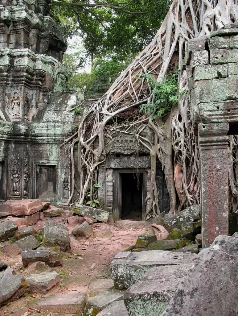 Ta Prohm – temple du Cambodge