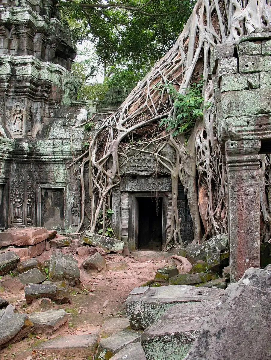 Ta Prohm – temple du Cambodge
